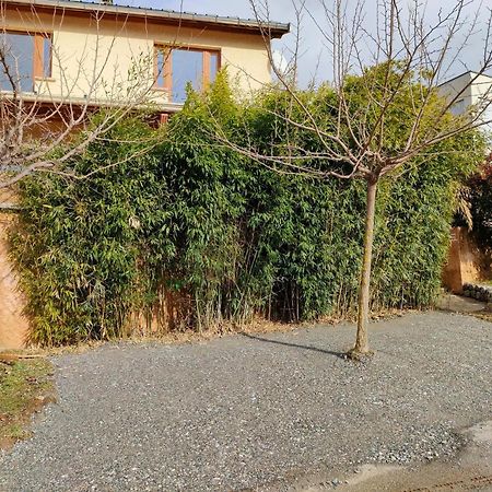 Le Cosy Du Plongeoir - T2 Neuf Avec Vue Sur Le Lac De Serre Poncon Et Grande Terrasse Avec Jardin Savines Extérieur photo